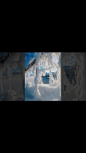 If you enjoy the cold, Alaska has the coldest and longest winters and the chilliest summers!🥶#shorts