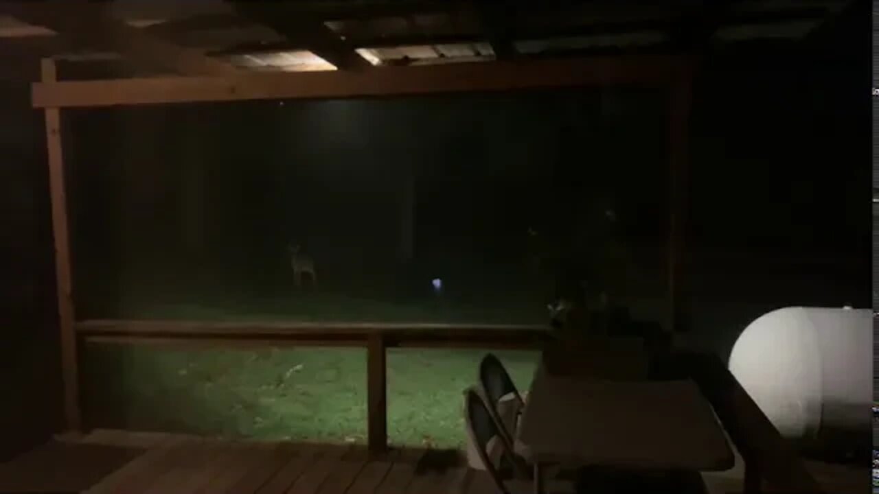 Night rover