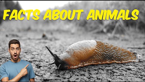 1. "The Astonishing Truths About Animals You Never Knew"