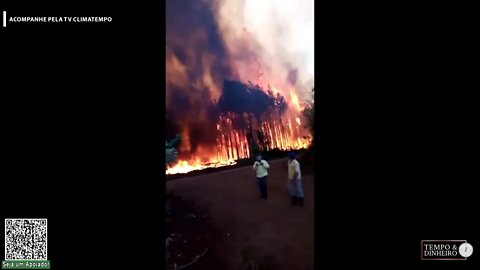 Incêndios na Argentina destroem campos e florestas