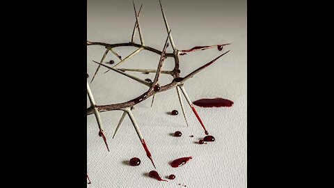 Which Church Do you Belong?