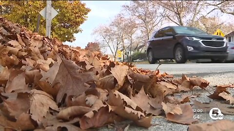 Cleveland to resume leaf pickup after resident and council pushback