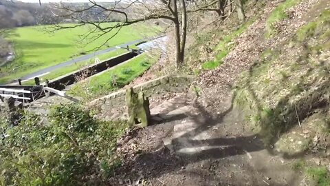 Walk through the woods and sounds