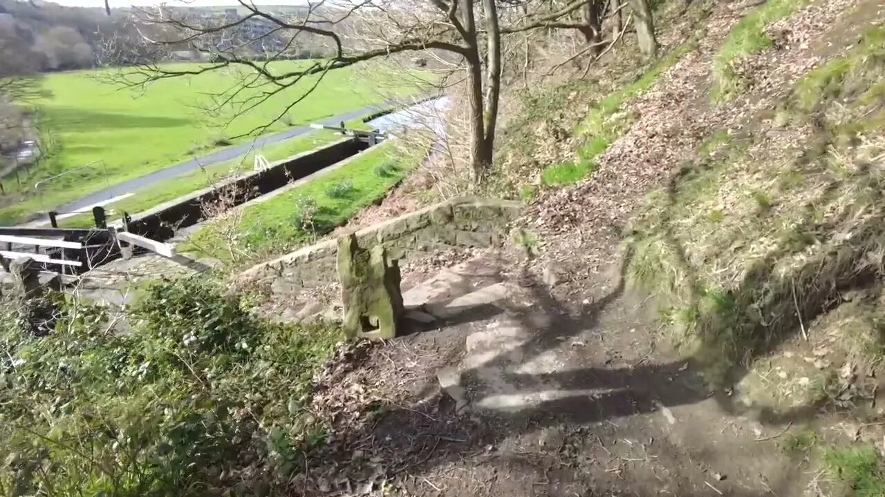 Walk through the woods and sounds