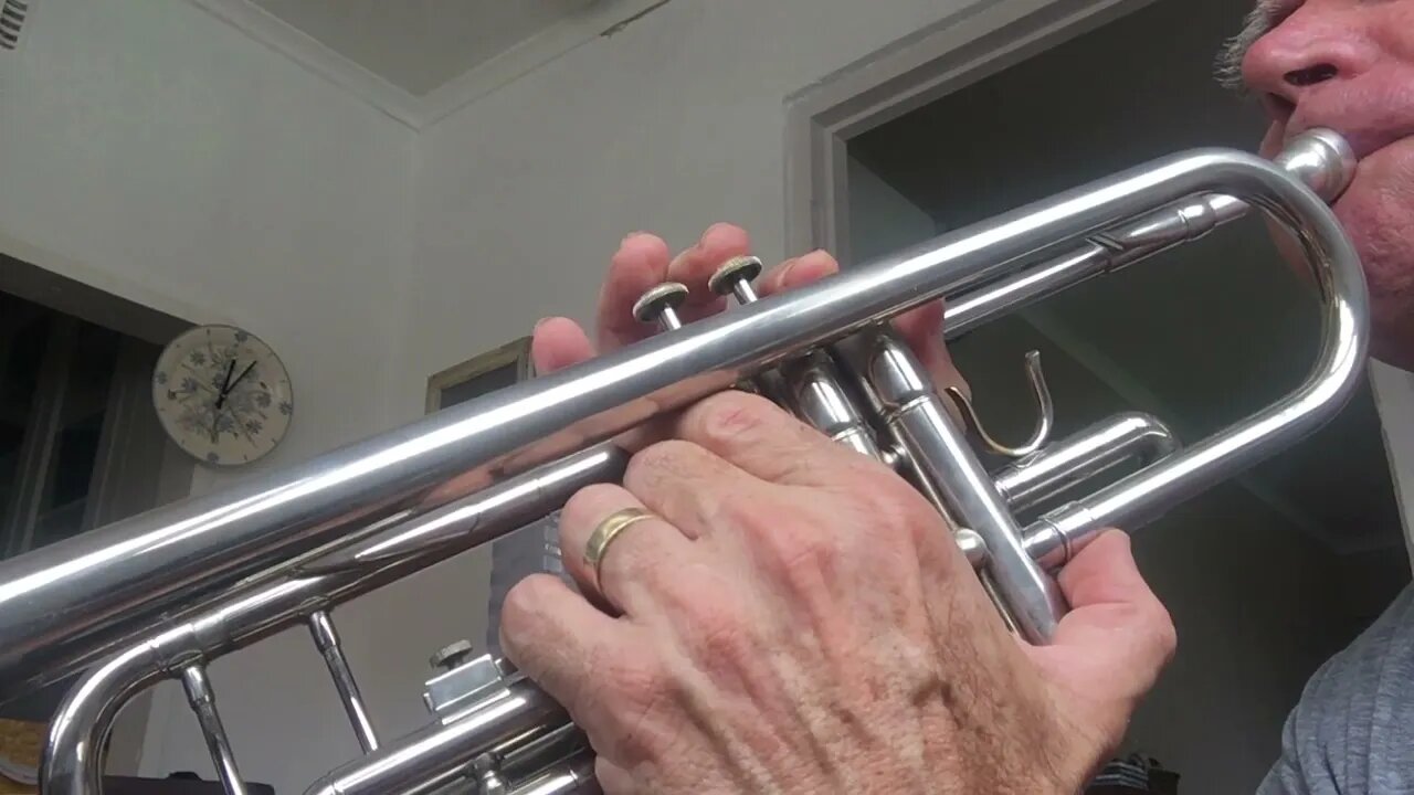 You Raise Me Up. With live trumpet valve view