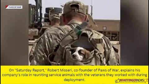 On "Saturday Report," Robert Misseri, co-founder of Paws of War, explains his company's role