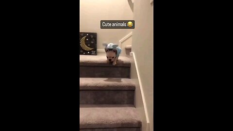 😀😃😄