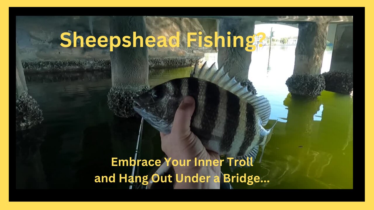 Sheepshead Fishing from Kayak - Embrace your Inner Troll!