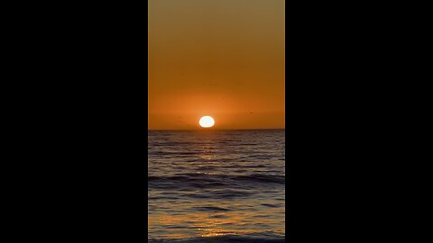 Half Moob Bay , California