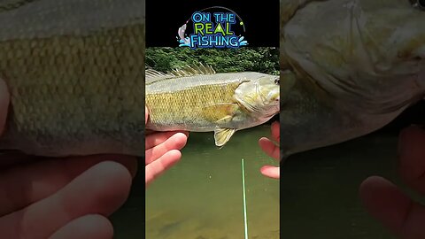 🎣🎣 Awesome Creek Catch! - On the Real #Fishing #smallmouthbassfishing