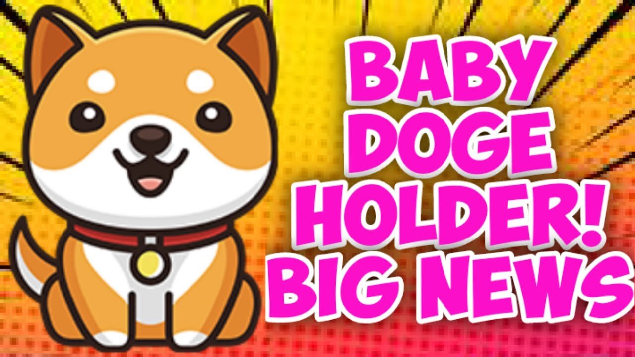 Baby Dogecoin Altcoin | How It Work's | 228 Billion Coin's for $450..