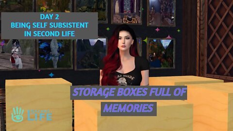 [Day 2] of being Self- Subsistent in Second Life: Storage Boxes of Photographic Virtual Memories.