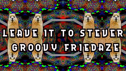 Leave it to Stever _ FRIEDDAZE NIGHT DRIVE BY