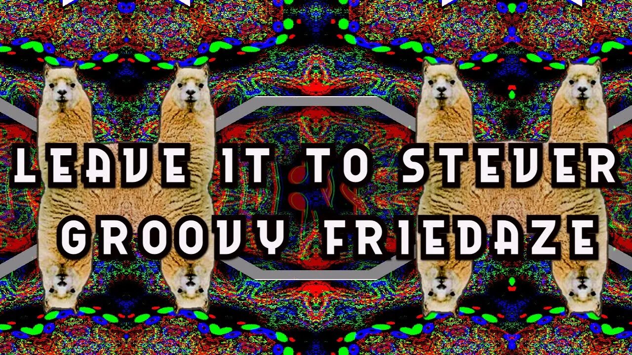 Leave it to Stever _ FRIEDDAZE NIGHT DRIVE BY