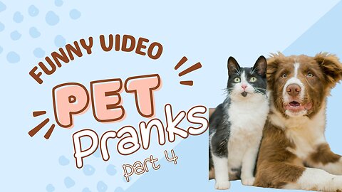 Funniest Animals 2023 Part 4 😂 Funny Dog and Cat Videos 😺🐶 Try Not To Laught