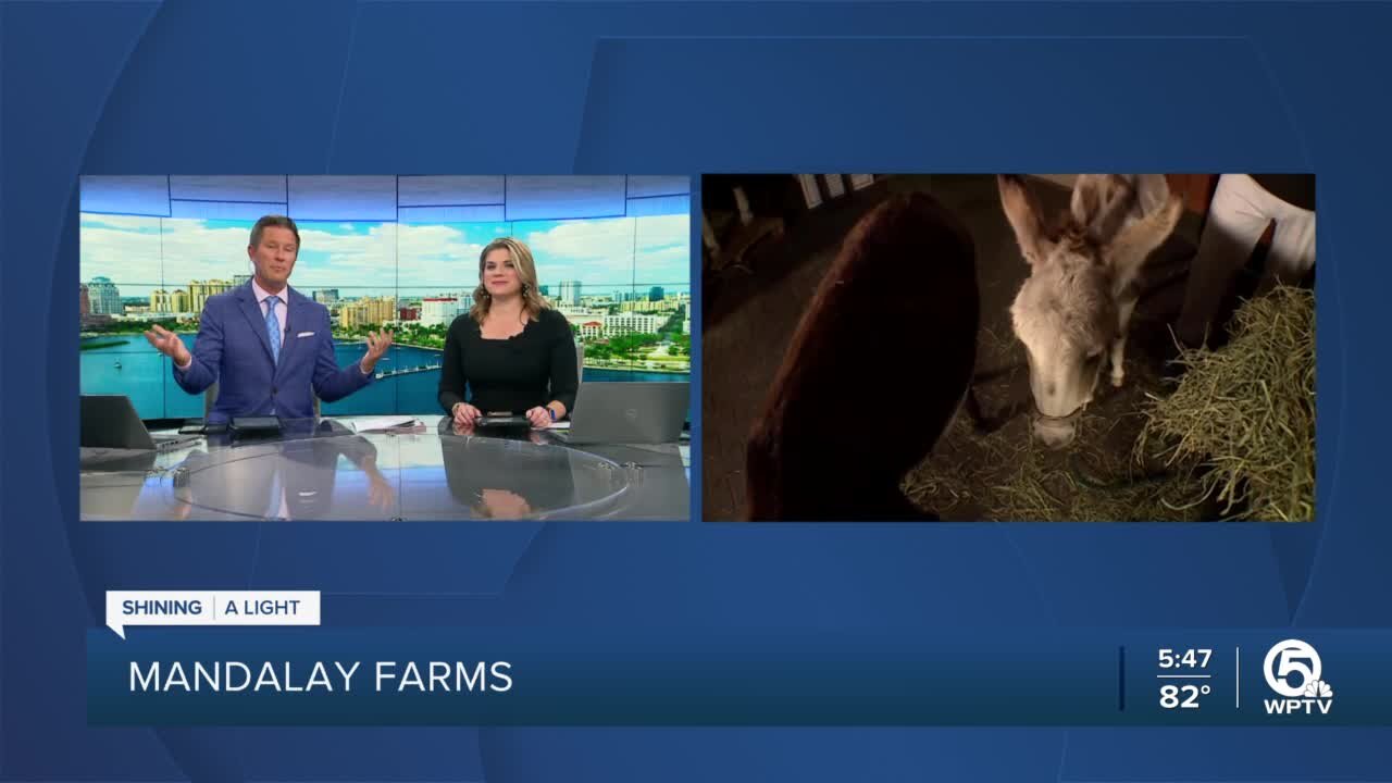 Local farm shares animal experiences with youth in need