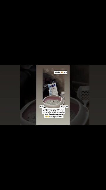 trained cat gatto addestrato 訓練された猫 قطة مدربة gato entrenado gato treinado trained cat گربه how to