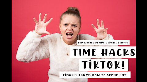 TIME HACK! The CUTEST Animals on Tik Tok RIGHT NOW
