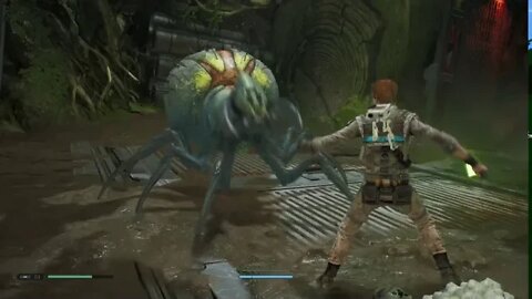 STAR WARS Jedi: Fallen Order™_20200904134102