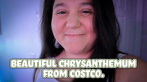 Amazing Costco Garden find! (and an update)