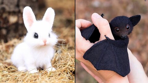 Cute Baby Animals Compilation