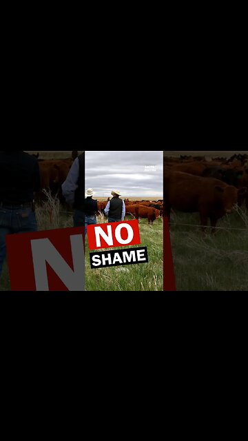 Panel at World Premiere of 'No Farmers No Food' 🌽