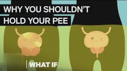 What Happens If You Hold Your Pee In For Too Long