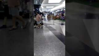 viajado de avião rio de janeiro