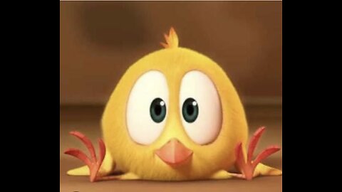 Where's Chicky? Funny Chicky 2020 | BABY CHICKY | Chicky Cartoon in English for Kids