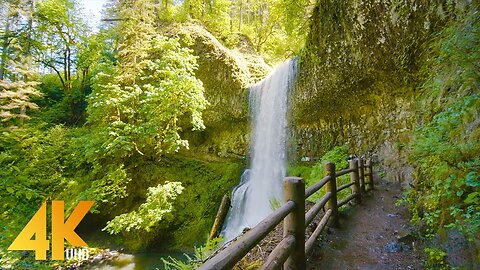 Serenity in Motion: Exploring Forests and Waterfalls in Nature's Embrace