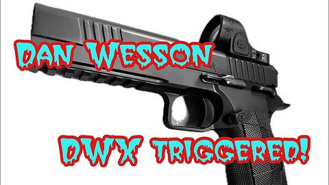 Dan Wesson DWX trigger job