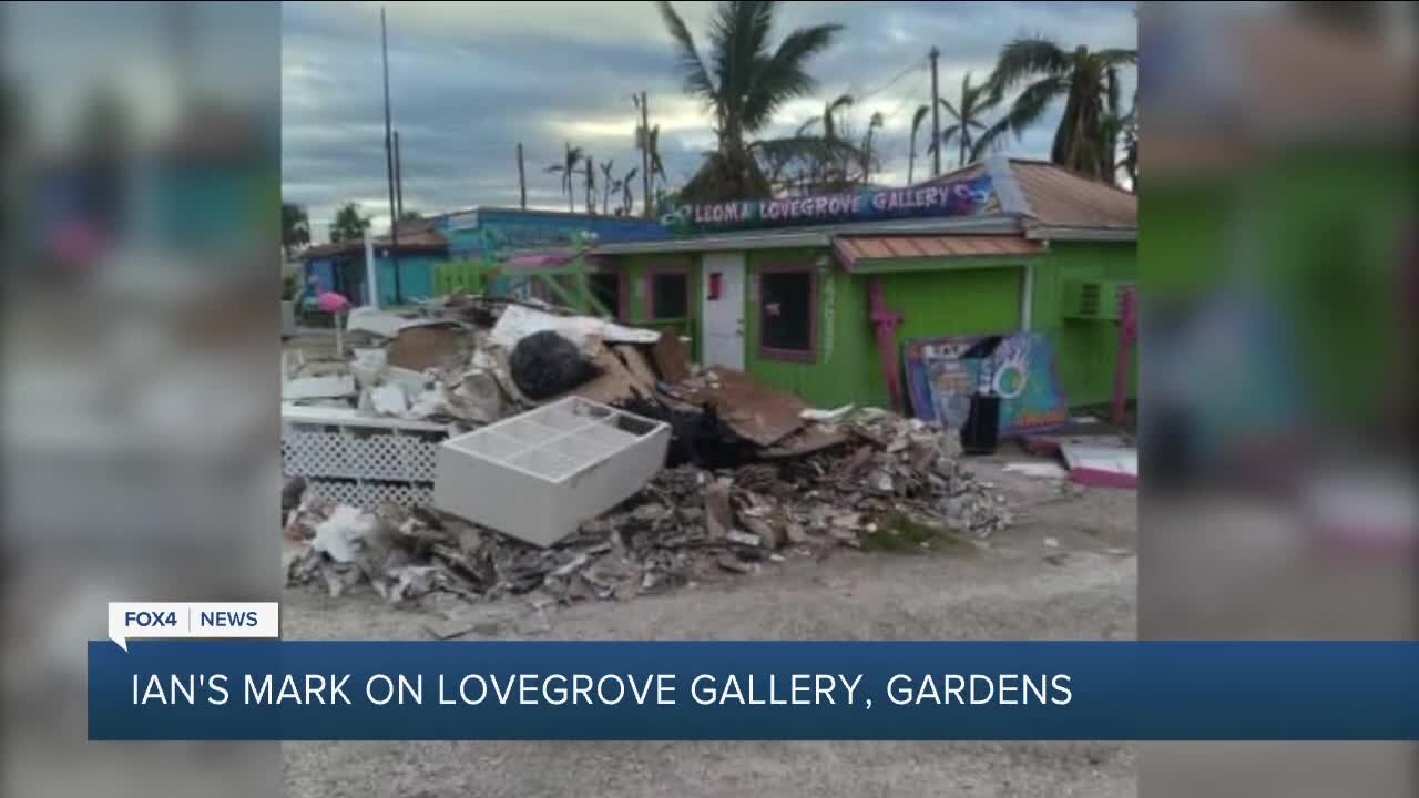 Lovegrove Gallery & Gardens after Hurricane Ian