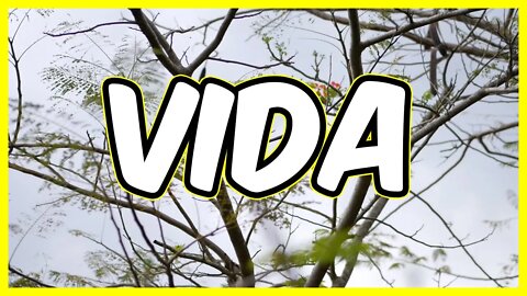 Vida