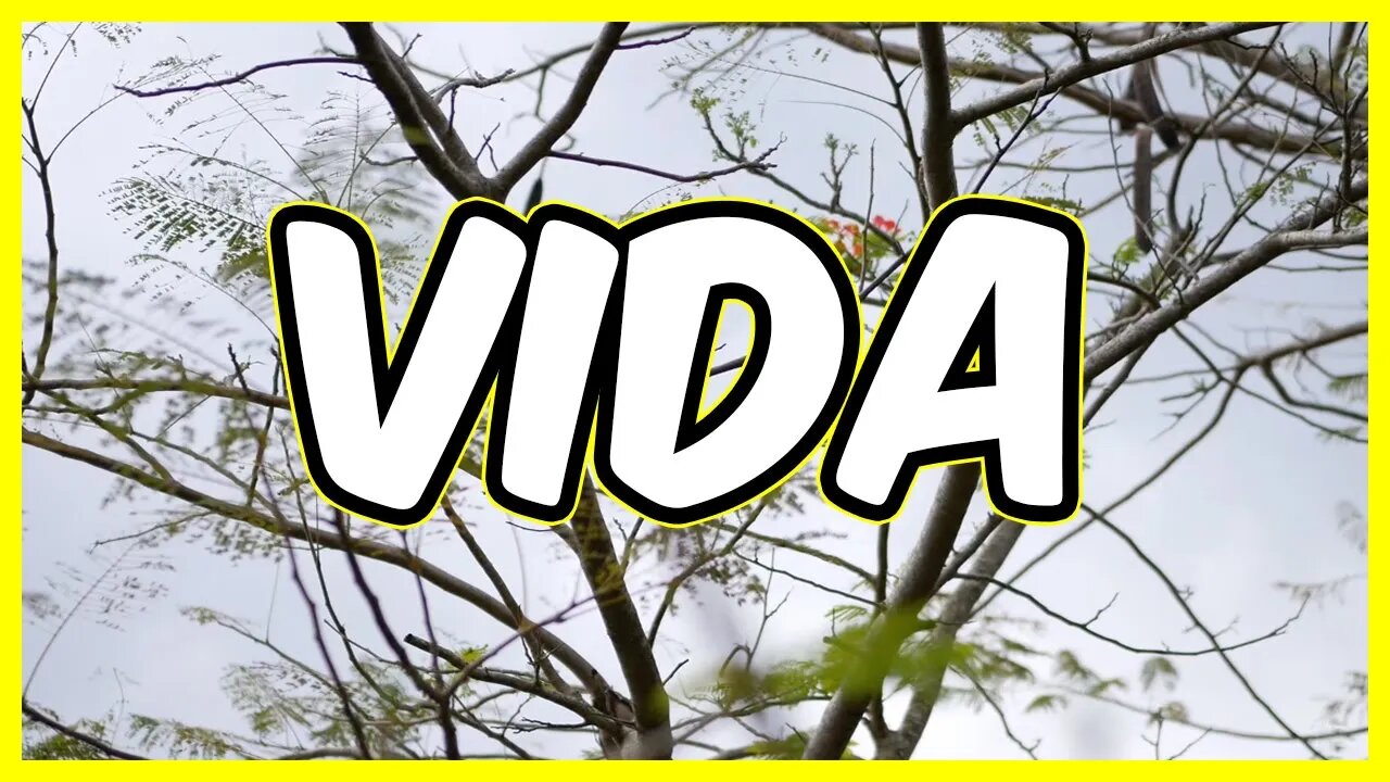 Vida