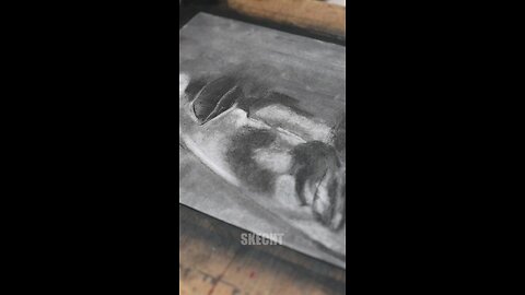 The Charcol Sketch.✍️