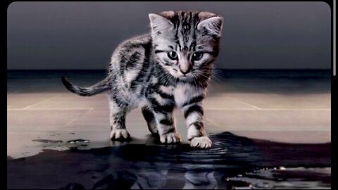 Champagne Supernova ~ Oasis