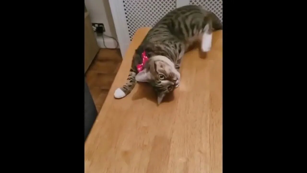 When I wake up