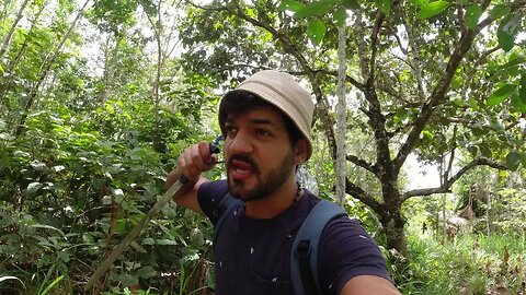 my IMPRESSIONS from the Amazon Jungle