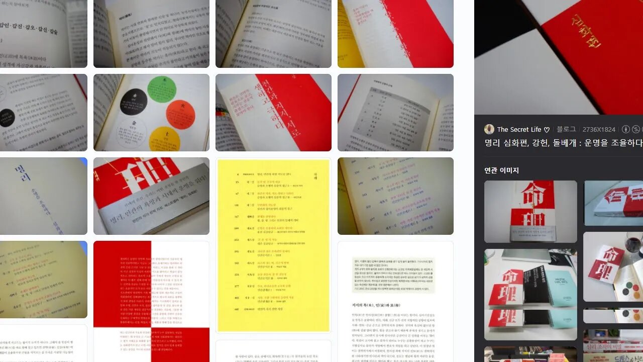 강헌, 좌파명리, 심화편, 명리, 사주팔자, 운명, 조율, 십신, 오행, 재성, 편재, 편관, 편인, 죄수, 자유분방함,과 약자봉사, 편재, 목화토금수, 갑을병정, 무기경신, 임계