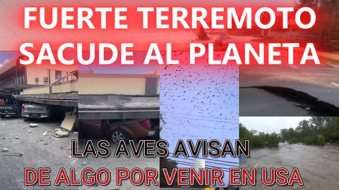 ALERTA NOTICIAS: FUERTE TERREMOTO SACUDE AL PLANETA Y LAS AVES ACTUAN EXTRAÑO EN USA....QUE SABEN?