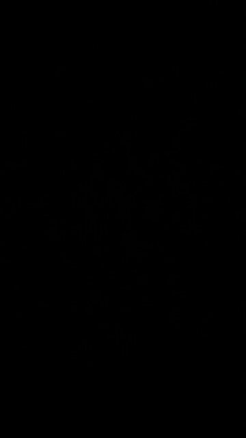 Late night, come home.