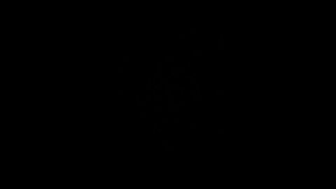 Late night, come home.