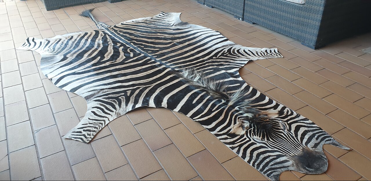 Small Dark Zebra Hide