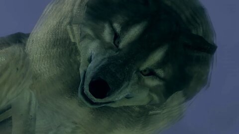 Dark Souls-MisterFister 13