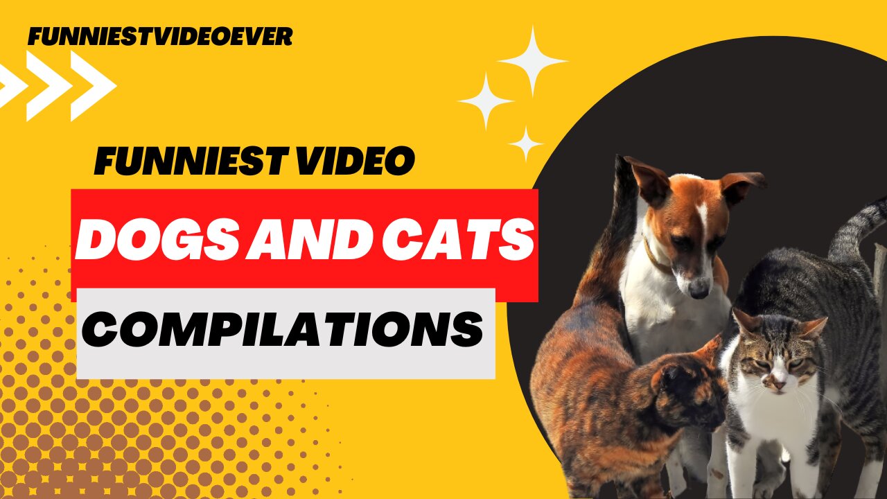 Dogs and Cats Video Compilation. Funniest ever!