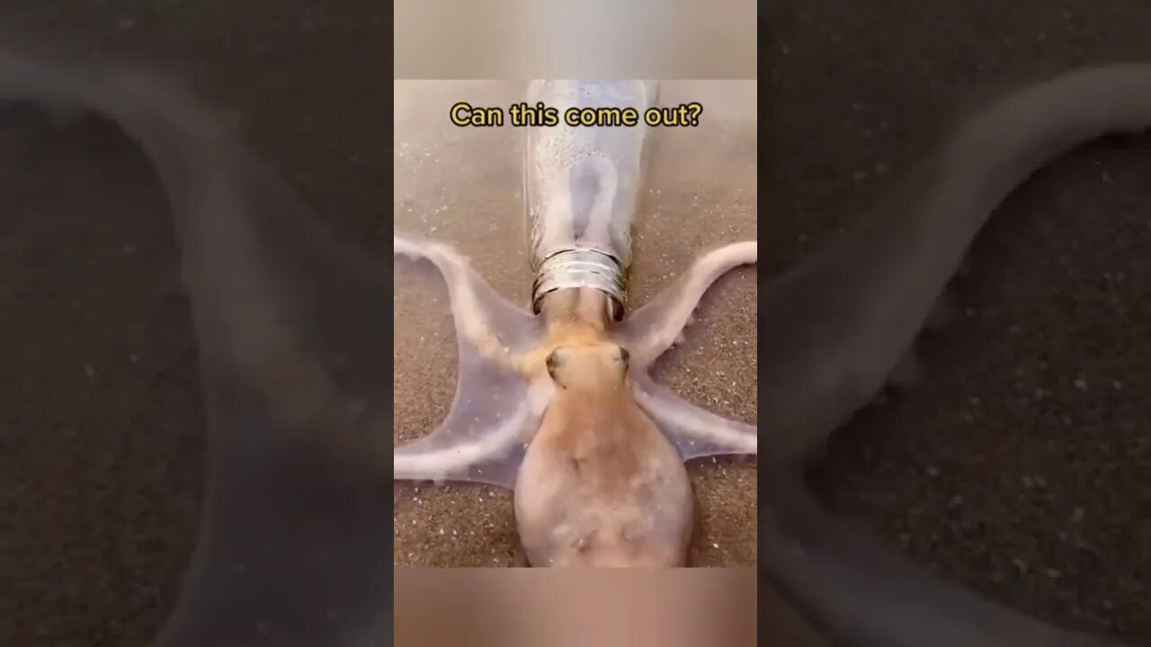 Wow 😮 check out these weird people 😱😱😱