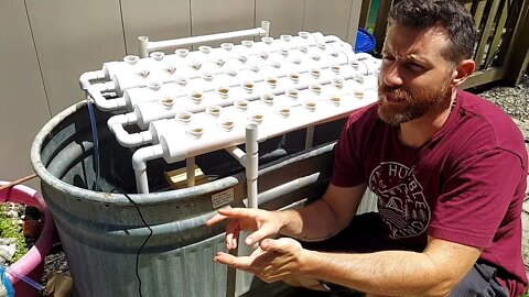 Under $100 Hydroponics! VivoSun System
