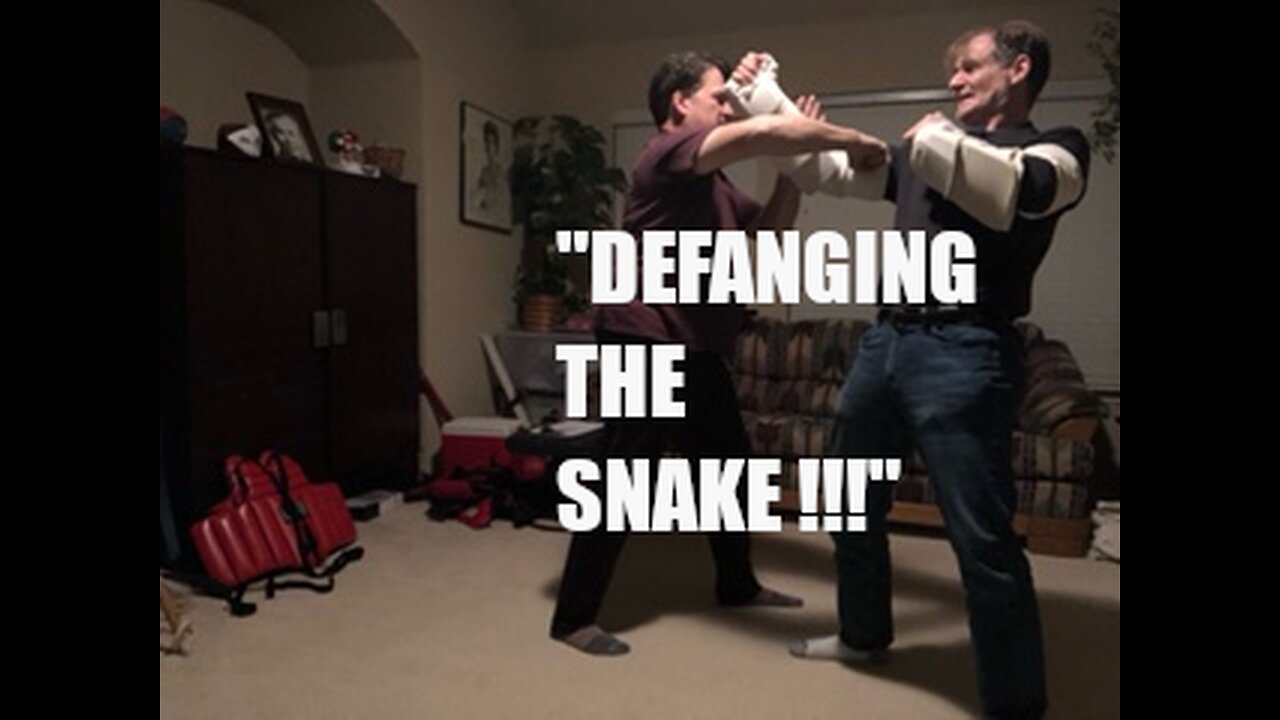 DEFANGING THE SNAKE BY JKD SIFU MIKE GOLDBERG