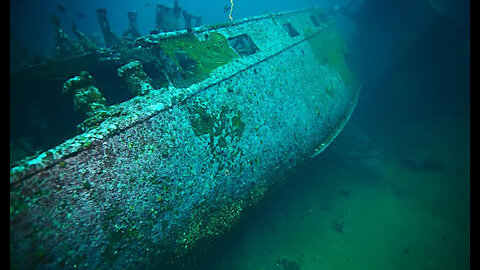 I found a shipwreck full of sharks