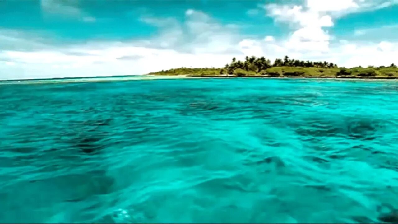 The sound of waves and magnificent dolphins
